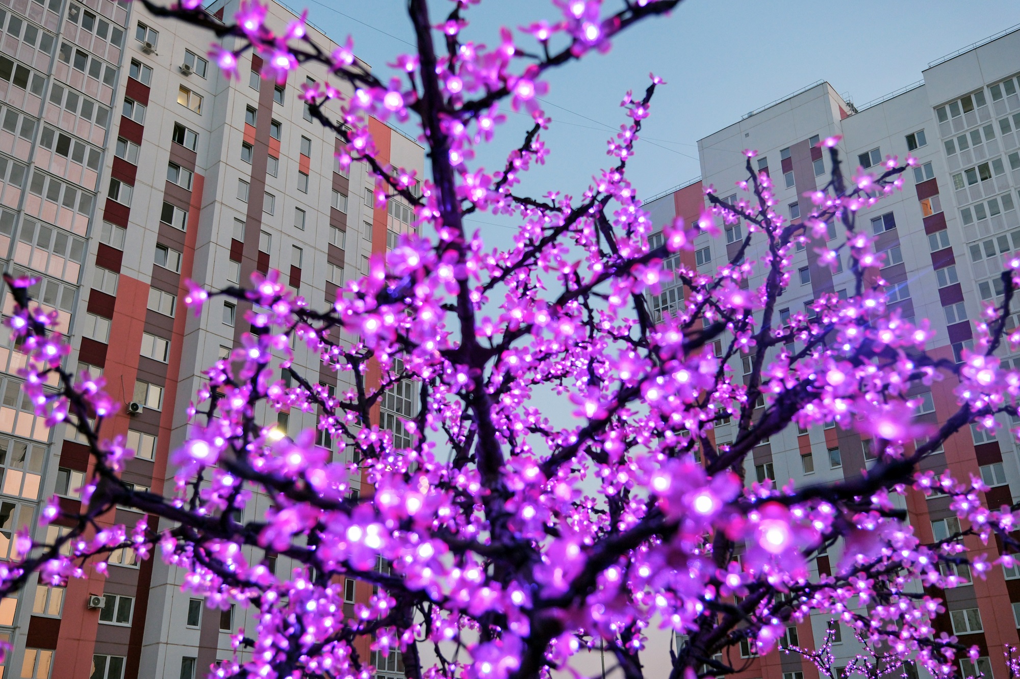 ЖК Яблоневый сад 61914